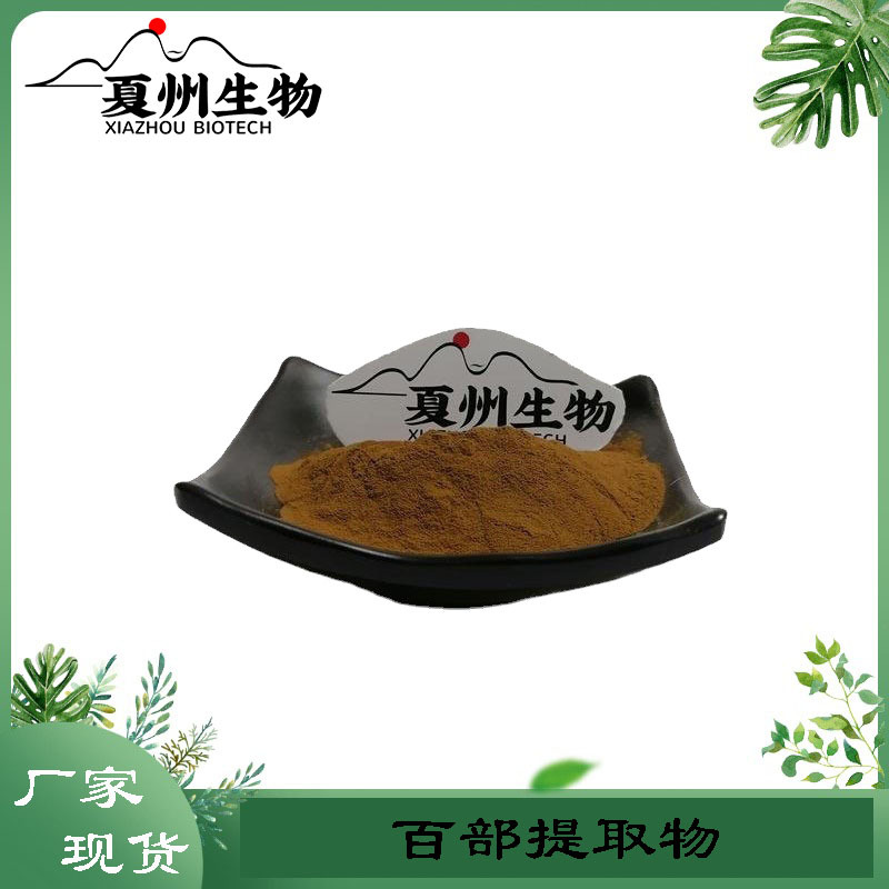 百部提取物10/20/30:1 百部碱 百部萃取粉末 百部粉 夏州现货供应