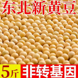 ��������s�Z���{1�¶��|�����N�S�󶹽�ߵ���