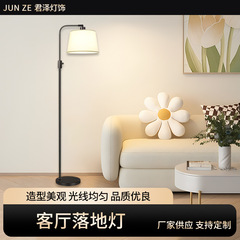 リビングのフロアランプの釣りランプの雰囲気ランプは、ヨーロッパ風のアイデアアマゾンの新しい寝室の床の電気スタンドを調整していません
