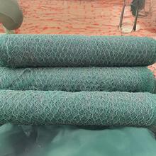 ���eʯ�\�o���U�z���Z�o�|�ӽ�W���e�\�o�¾G�I�|�ӽ����ˉ|��W