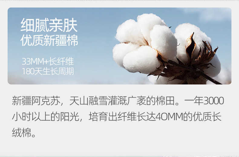 DF-012瑞欣详情_10