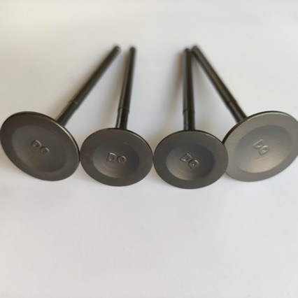 Suitable for Nc250 Motorcycle Engine Valve, Kewei Zongshen Zs177Mm Valve