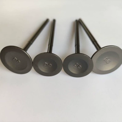 Valves and components Motorcycle Engine Valve