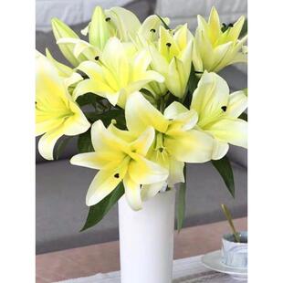 Perfume Lily Multi-Headed Flower Bouquet Yunnan Kunming Base Freshly Picked Straight Hair Water-Raised Flowers Real Flowers Yunnan
