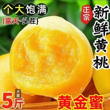 �����S�����\���S�����rë���Ӯ����Fժˮ�������S�����Ҵ���ЋD