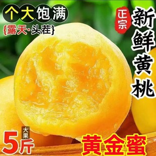 �����S�����\���S�����rë���Ӯ����Fժˮ�������S�����Ҵ���ЋD