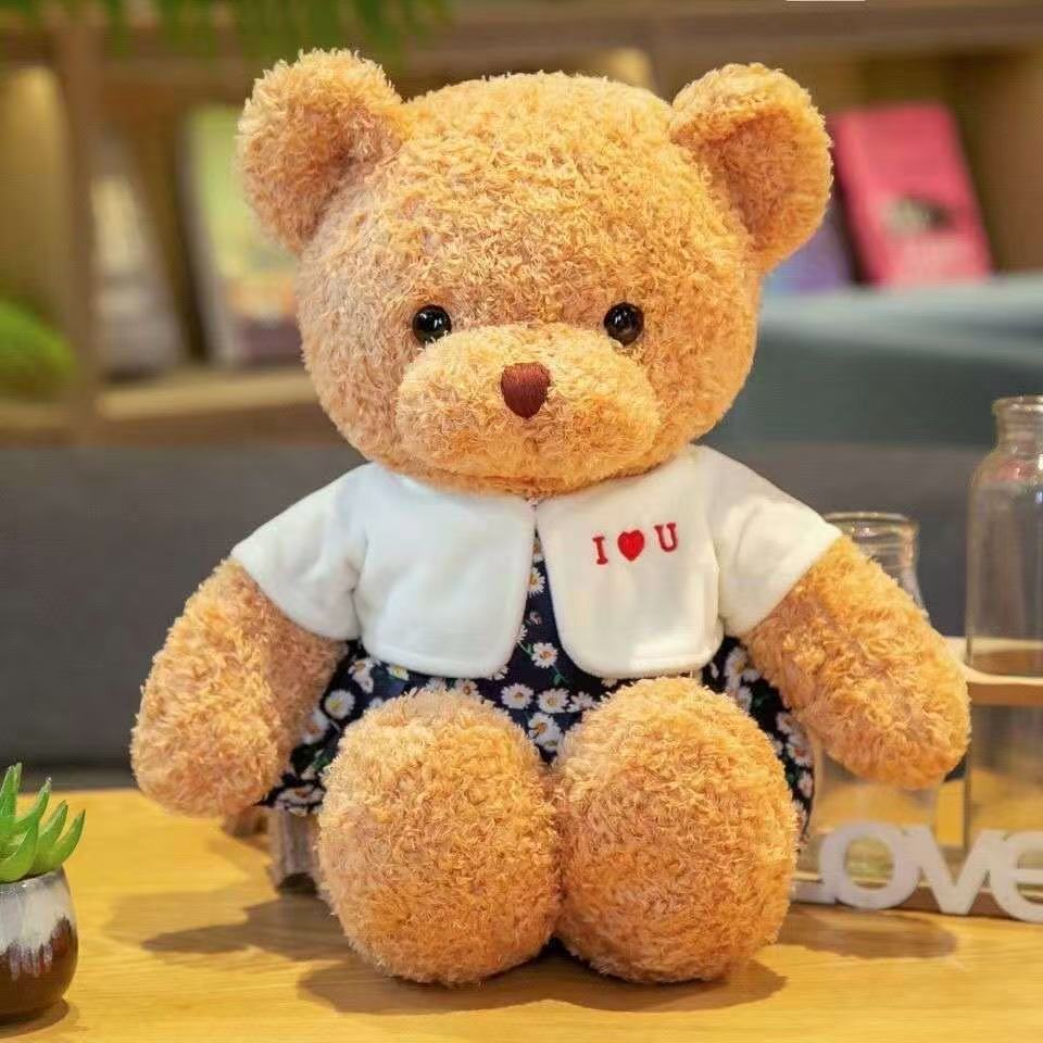 Muñecas de peluche al por mayor emoción acompañante vestido juguetes de peluche regalo de cumpleaños abrazar osos muñecas