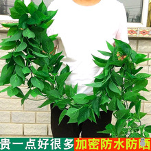 墙面挂饰绿植仿真藤条绿萝叶装饰室内假树叶绿藤蔓植物壁挂遮挡