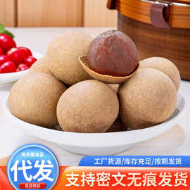 510g代发桂圆干福建特产龙眼干泡水喝干货桂圆肉核小肉厚新果