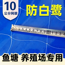 �~��������B�W��W10���׾W�׳����Bֳ���q�������r�����W������