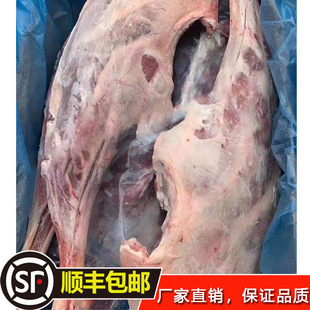 带皮羊腿批发_整只冷冻新鲜羊腿1688采购