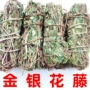 儿童婴儿宝宝家用金银花藤