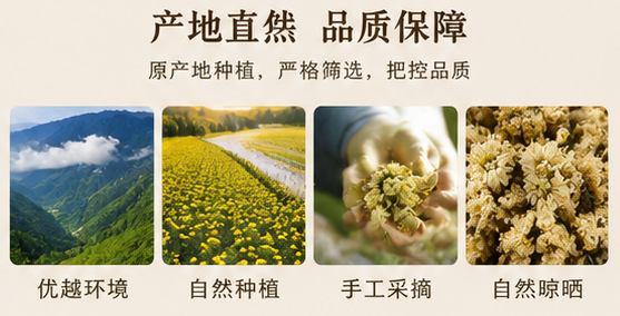 Dried Chrysanthemum Flowers Ju Hua Loose Herbal Tea 1000g Bulk Bag Sun Dried Whole Blossoms key features