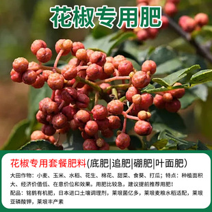 �����䌣�÷ʏ�1����1�籣��������1����1�a�齷�����~���ˮ�ܷ�