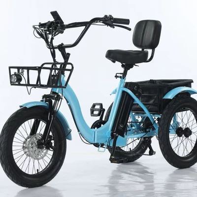 Tricycle Pedal – LFEY Auto Parts and Accessories