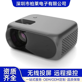 投影仪;投影仪;其他办公设备