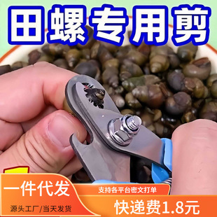 Popular Snail Scissors, Forged Screw Pliers, Food-Grade Non-Slip, Labor-Saving Kitchen Tool Material Tail