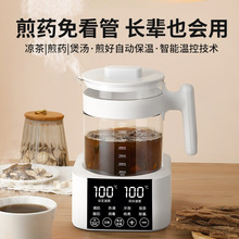 中药电煎壶煎药壶熬药全自动砂锅熬中药家用药罐恒温烧水养生壶