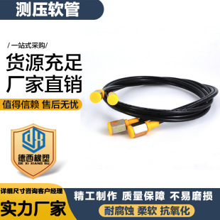 Spot Wholesale Pressure Measuring Hose High Pressure Resin Pressure Measuring Hose Pressure Gauge Connecting Pipe High Pressure Oil Pipe Pressure Measuring Pipe