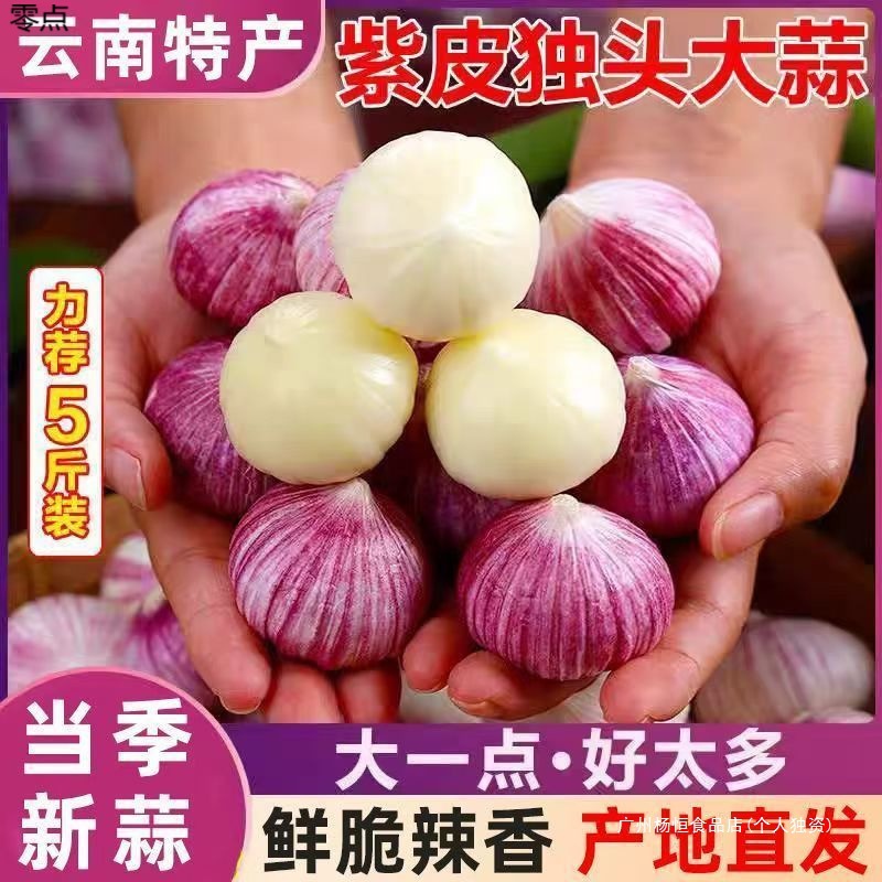 独头蒜皮包新蒜现大蒜紫皮2025年批发新鲜蔬菜挖独蒜邮红二月