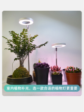 ?ֲ���a����������L��ȫ���V�҃ȾGֲ��ɫ���ն��rֲ���