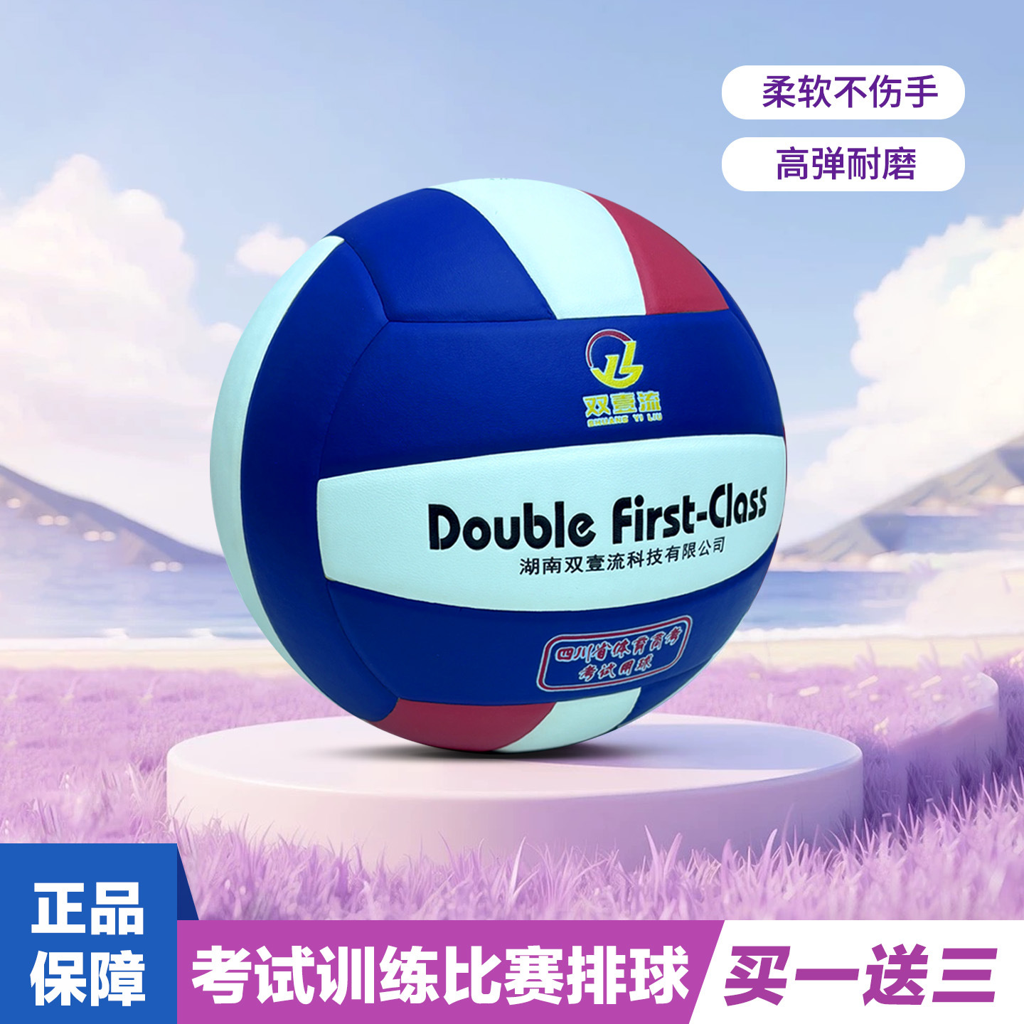 Sports College Entrance Examination No. 5 Volleyball Examination/Training Special for Men and Women