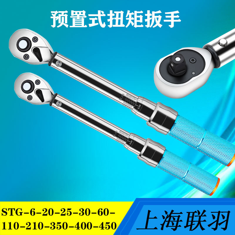 联羽预置式扭矩扳手扭力扳手自行车轮胎维修扭力矩检测仪STG-450