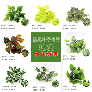 ����G�}�~�����~�����~�װ��~�u���~�����bٻ��Gֲ�����쾰