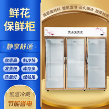 �S�����l�r���������L���r����ֱ�仨����ؙ����T���T�r��չʾ��