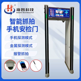 安检门;其他安全检查;安检探测器