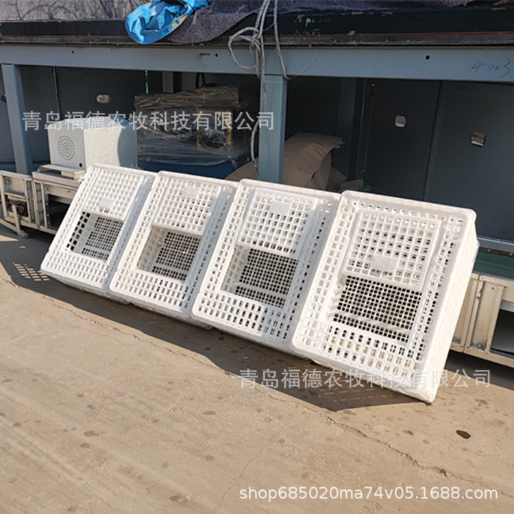 优质塑料周转箱 塑料鸡周转笼 土鸡笼 青年鸡运输笼 大鸡笼子鸡筐