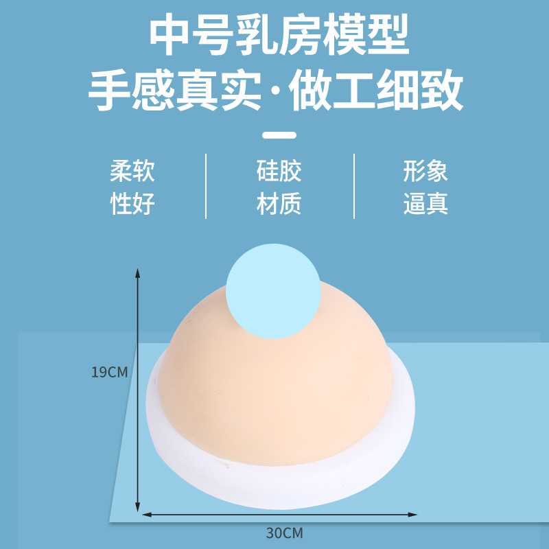 ������ɩ�������Ů���鷿����ʦ��ѵ���߲���轺�鷿�̾�ģ��