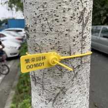定 制园林苗木锁扣打号号树标记标签标识扎带塑料封条物流二维码