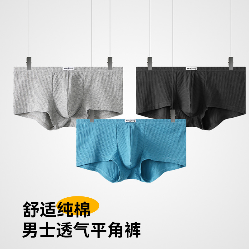 Men's Underwear Pure Cotton Autumn and Winter Breathable U-Pouch Boxer Briefs Men's Four-Corner Double-Layer Inner Layer Men's Boxer Briefs Wholesale