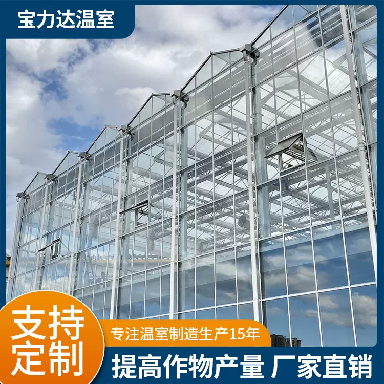 现代化温室大棚 镀锌钢架结构花卉培育种植 中空玻璃智能温室大棚