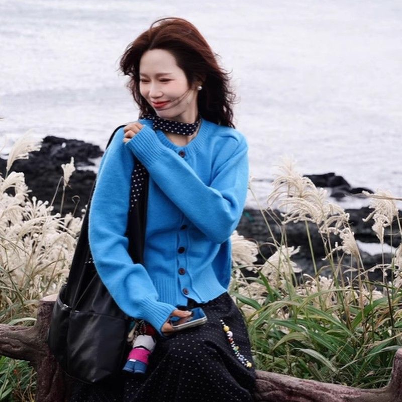 韩系穿搭蓝色圆领针织开衫外套女春秋款内搭打底毛衣软糯长袖上衣|undefined