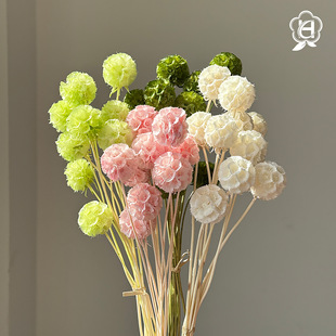 Eternal Single-Headed White Pinwheel Fruit Pine Cone Ins-Style Cute Bouquet Decorative Ornament Small Handmade Dried Flower