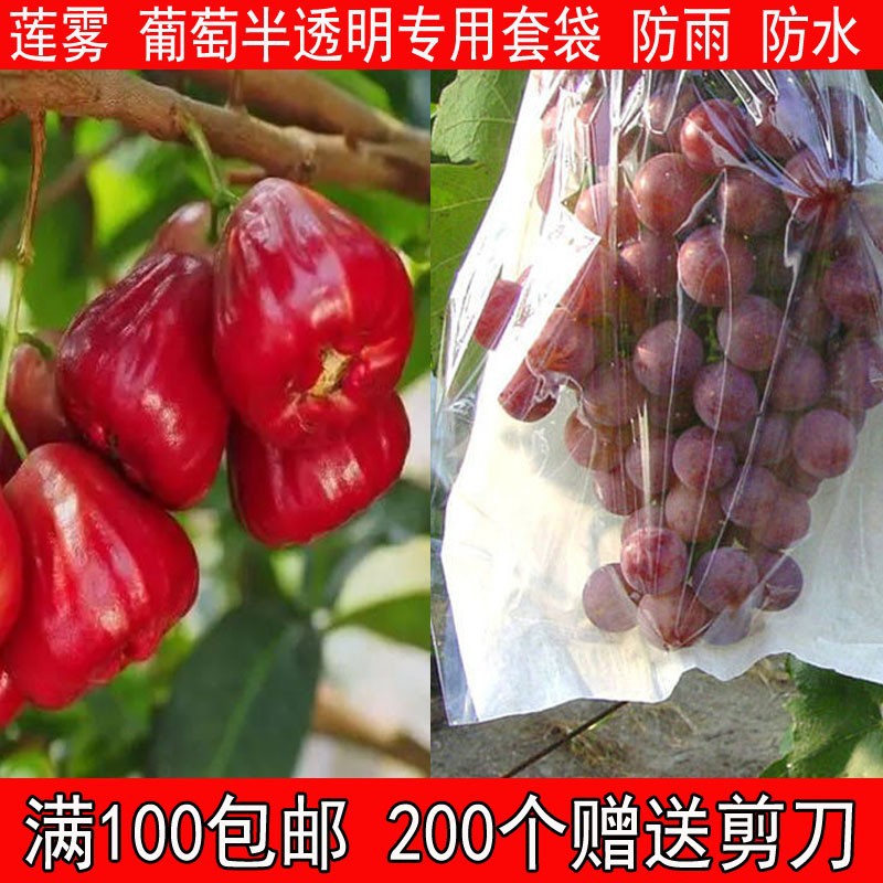 O1CN01Y2Jvlo2NSe6dGZcjX_!!0-it