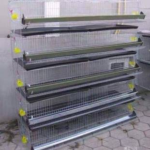�Ԅ���ʽ�g�����ӻ\�Bֳ�g���Bֳ�\�L�������p���\�\ľ�|