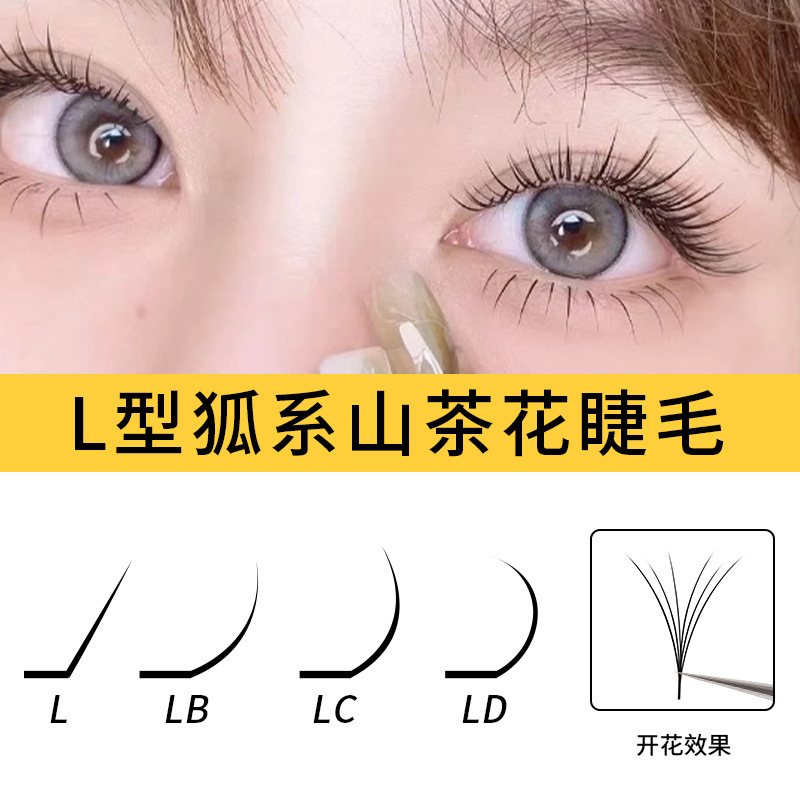 Fox Style Thai Cartoon Black Camellia Eyelashes lc Grafting Eyelashes Special Chinese Style Eyelashes Super Soft Fox Style Thai Cartoon Black Camellia Eyelashes lc Grafting Eyelashes Special Chinese Style Eyelashes Super Soft