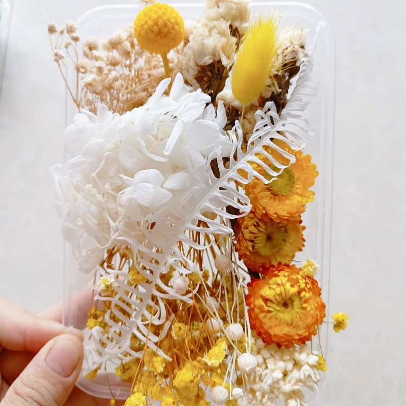 Festival bricolaje hecho a mano material de flor eterna planta flor seca florero flotante aromaterapia flor seca abanico de material paquete al por mayor
