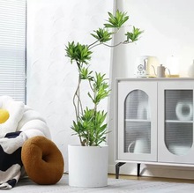 Ͱٺ҃ȾGֲ͏dk҃՚B׻WL辰