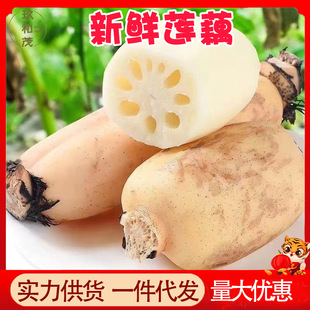 �������rɏź5�����䑪���߲�10���l���]�F�ڴ��3�������ϴ�ź