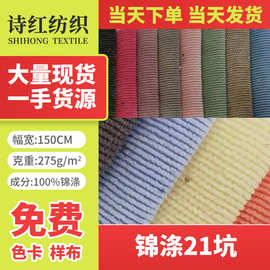 灯芯绒现货供应 锦涤21坑 无弹 服装 鞋帽用料