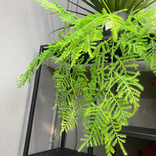 仿真植物文竹禅意古风摆放家居造景装饰云片松刺蕨草文竹中式文竹