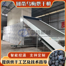 �W����÷��əC ȫ�Ԅ�Ѭ÷÷����ϴȥ�˺�����a�� ��÷����O��