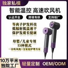 OEM高速吹风机11万等离子保护发质健康低温速干儿童宠物护理伴侣