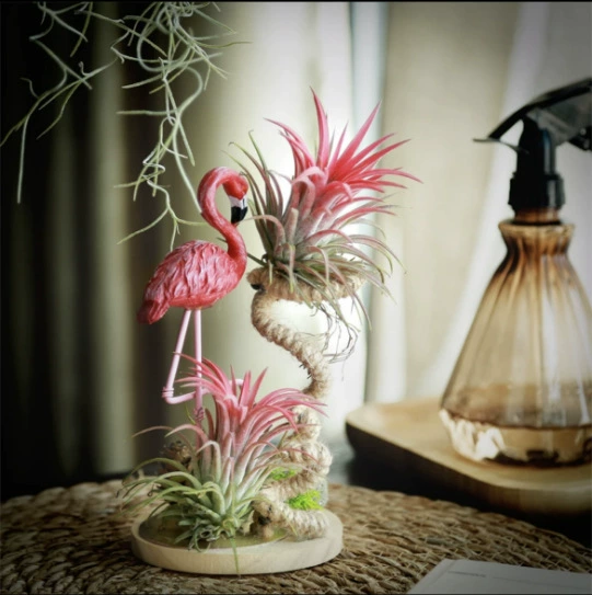 База Оптовая продажа различных воздушных ананасов Фламинго Большой белый гусь Птица Сосновый укроп Пакет подарков