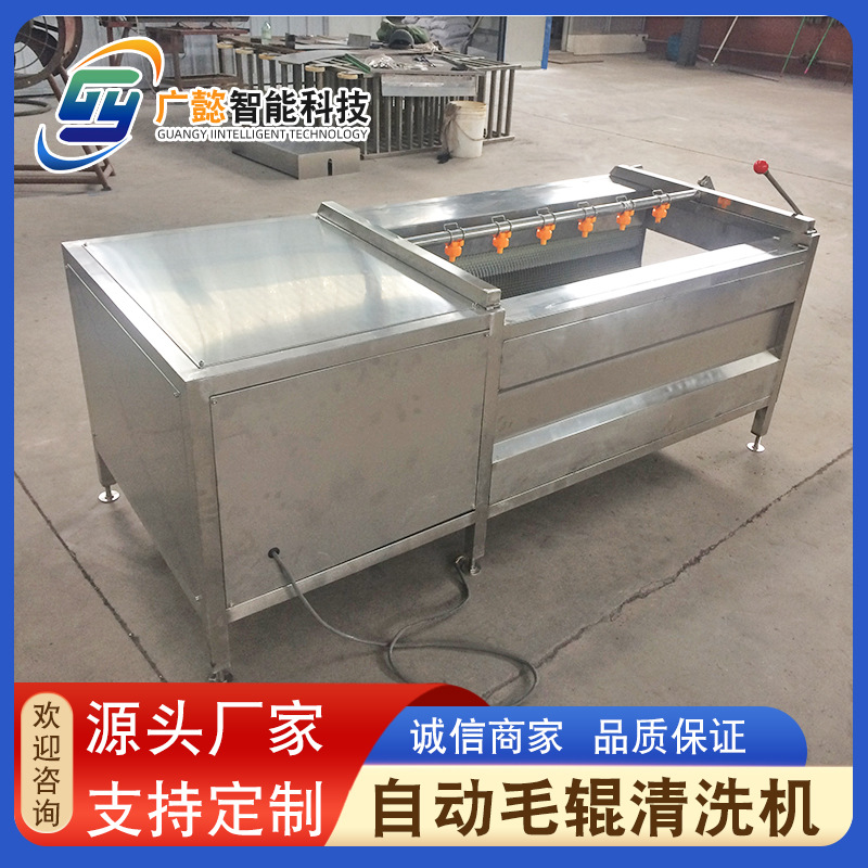 毛辊清洗机 冬瓜南瓜去毛刺毛刷清洗机 果蔬全自动去皮清洗设备