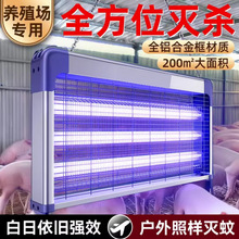 2025�¿���ß�������ω���Bֳ�����Ü��ß���䁒젝�nω��׽����